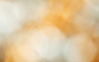 Protection of human rights under the new Aged Care Act 2024