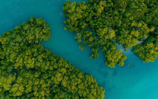 The Pabai decision: lessons for climate reporting entities, amongst evolving climate litigation landscape.