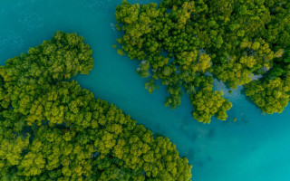 The Pabai decision: lessons for climate reporting entities, amongst evolving climate litigation landscape.